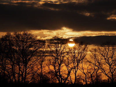 sonnenuntergang im moor