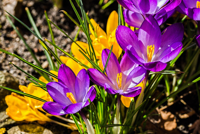 So sieht Frühling aus So sieht Frühling aus