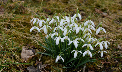 Frohe Ostern