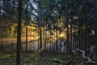 Lichtdurchflutet Lichtdurchflutet