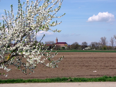 Blick auf die Kirche im Frühling