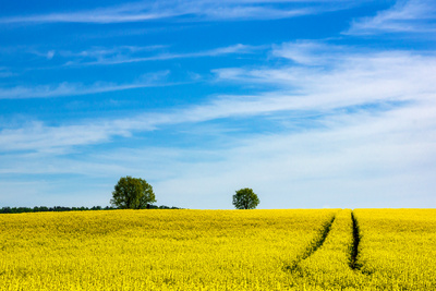 Am Horizont Am Horizont