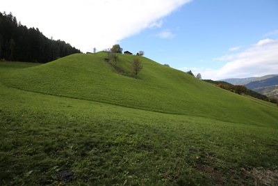 Grüner Hügel