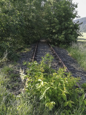 Stillgelegte Eisenbahnstrecke