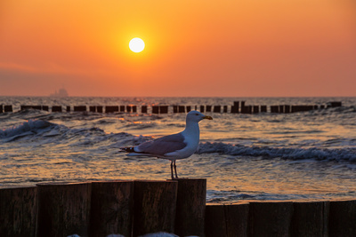 Platz an der Sonne Platz an der Sonne