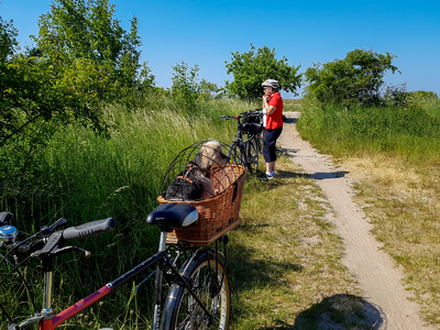 Urlaub mit Hund Urlaub mit Hund
