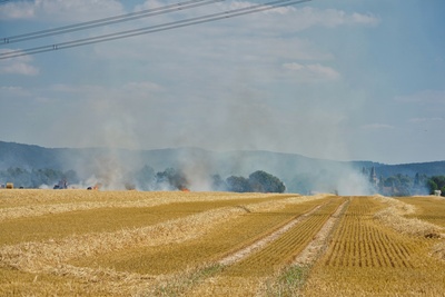 Flächenbrand auf einem Weizenfeld