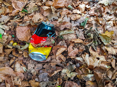 Deutscher Wald Deutscher Wald