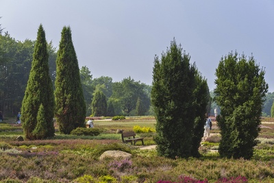Heidegarten