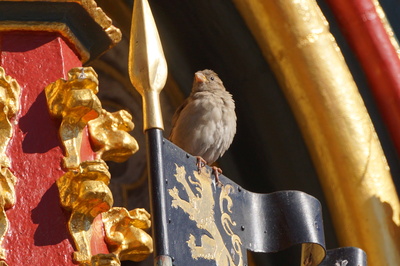 Ritter Spatz vom Schönen Brunnen