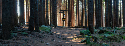Stempelkasten allein im Wald