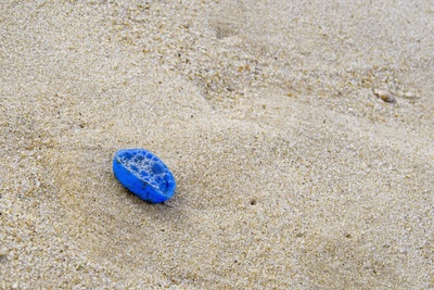 Plastik aus dem Meer