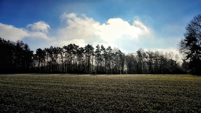 Winterstimmung auf der Alb