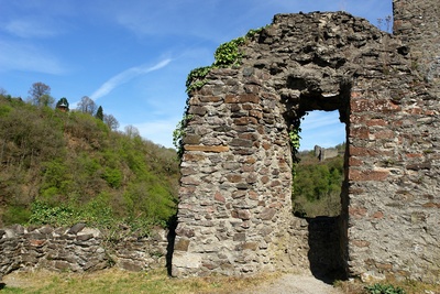 Ruine Burg Manderscheid #2