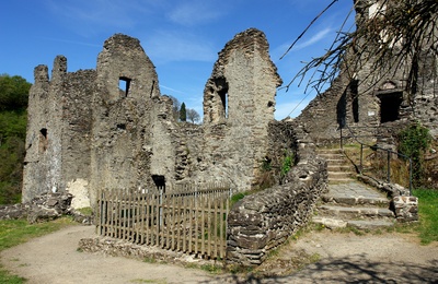 Ruine Burg Manderscheid #7