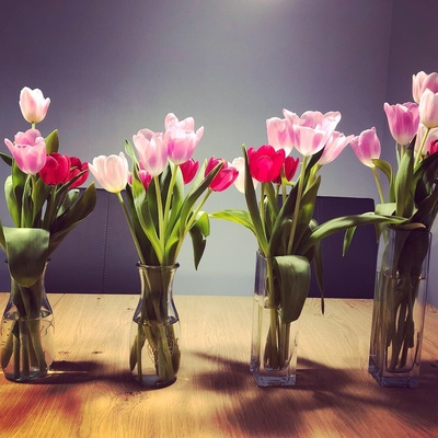 Tulpen in Vasen