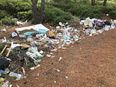 Wilde Mülldeponie im Wald Wilde Mülldeponie im Wald