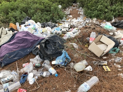 Willde Müllkippe im Wald Willde Müllkippe im Wald