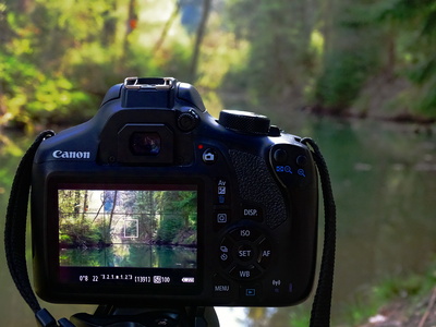 Kamera im Wald