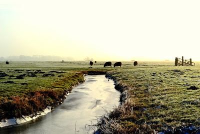 Winter in Holland