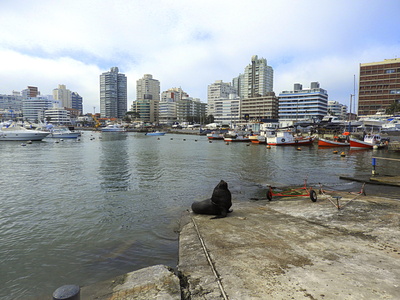 Im Hafen von Punta Del Este, Uruguay