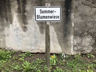 Schild: Sommerblumenwiese Schild: Sommerblumenwiese