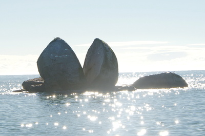 Tokangawhā / Split Apple Rock