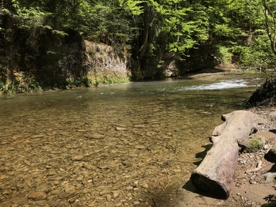 Eistobel im Westallgäu Eistobel im Westallgäu