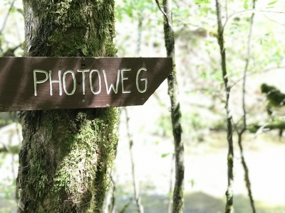Photoweg im Eistobel Photoweg im Eistobel