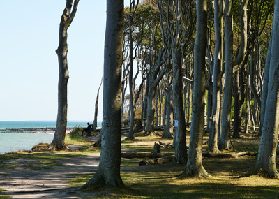 Ostseeküste bei Nienhagen