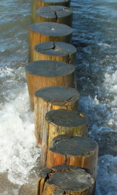 Holz und Wasser