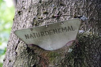 Naturdenkmal