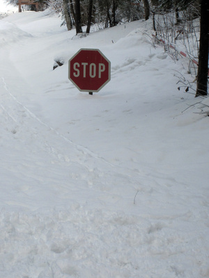 Schneechaos Schneechaos