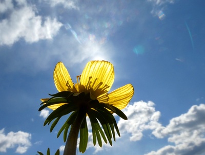 Sonnenfänger Sonnenfänger