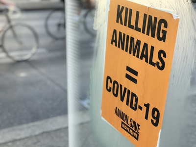 Protest für Tierschutz: "Killing Animals = Covid-19" Protest für Tierschutz: "Killing Animals = Covid-19"