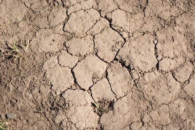 Dürre und Trockenheit