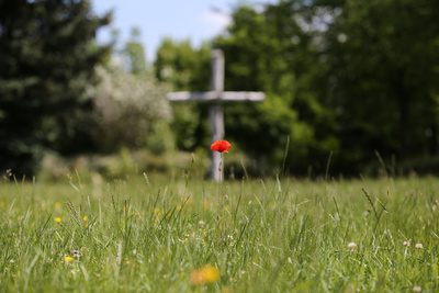 Mohnblume vor einem Kreuz