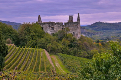 Schlossruine und Weinberg