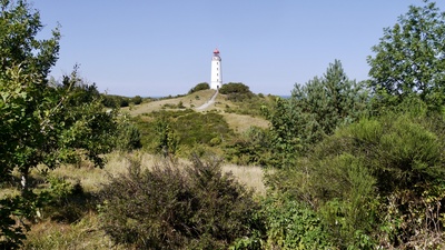 Leuchtturm auf dem Dornbusch 2