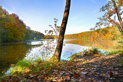 Herbst am Lange See