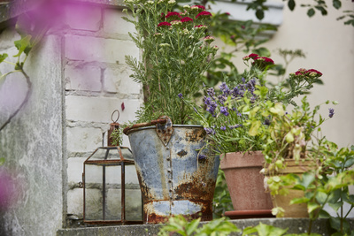 Blumenschmuck Blumenschmuck