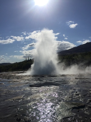 Geysir auf Island Geysir auf Island