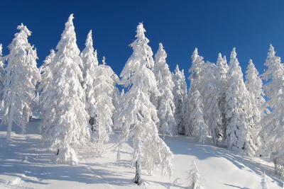 zauberhafte Winterlandschaft