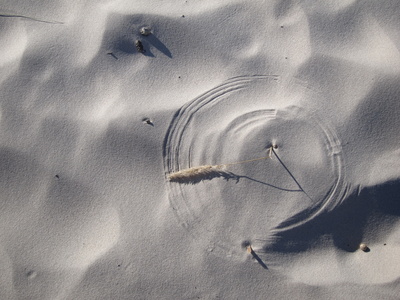 Sandkreis am Strand von Usedom / Foto: Alexander Hauk