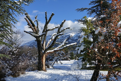 Schnee in Südfrankreich