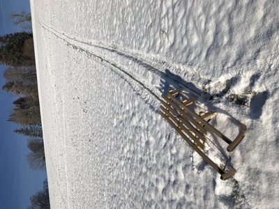 Schlitten auf verschneitem Hügel / Foto: Alexander Hauk