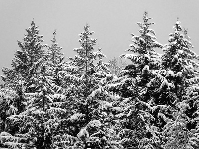 Morgen soll die Sonne scheinen ..... Morgen soll die Sonne scheinen .....