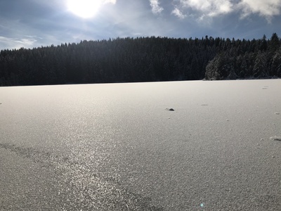 Gefrorener See im Winter 2020 im Oberallgäu / Foto: Alexander Hauk