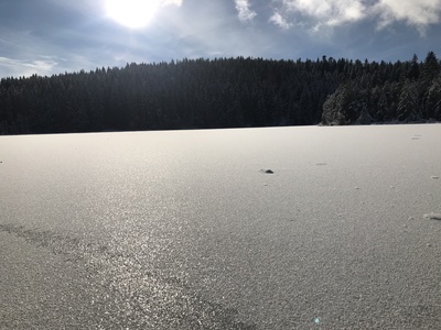 Gefrorener See im Winter 2020 im Oberallgäu Gefrorener See im Winter 2020 im Oberallgäu