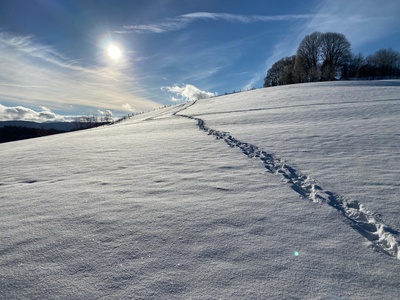 Winterspaziergang an Weihnachten 2020 / Foto: Alexander Hauk